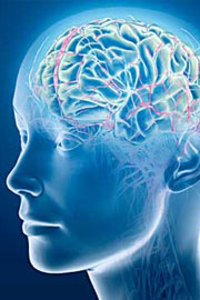 Common Neurological Conditions